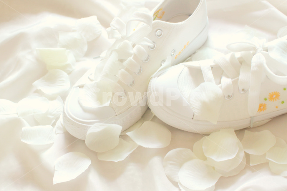 꽃,신발,흰색,색감,감성,분위기,꽃잎,flower,shouse,white,운동화,패션스타일,의상,fashion,style,감성,sensible,feeling