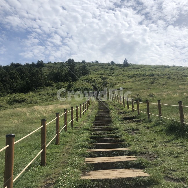계단,하늘,구름가득,자연,푸영,천국의계단,나무,잔디,계단길,등산,제주도,jeju,jeju island,outdoors,옥외,field,들,grassland,목초지