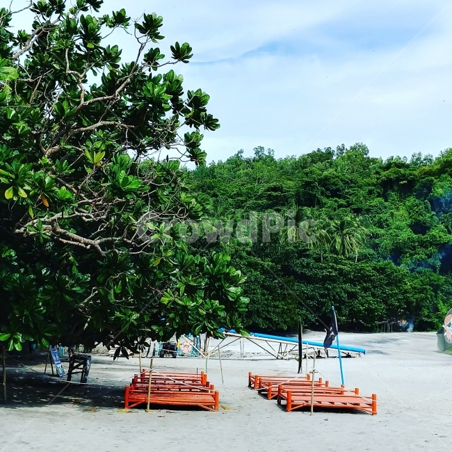 바다,해변,필리핀,모래사장,2017년,해변,바다,beach,sea