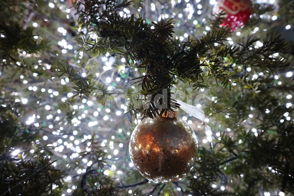 빛,크리스마스,파티,christmas,xmas