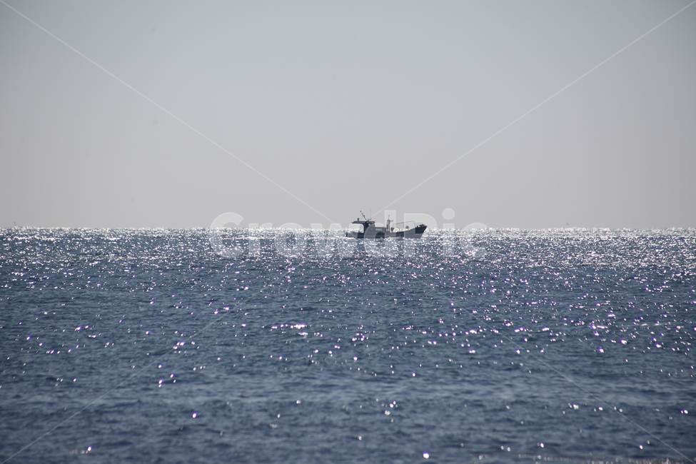 어선,배,바다,sea,fishingboat,동해바다,수평선,자연,풍경,nature,landscape,산업,industry,industrial,어업,fishery,fishing industry,transportation,교통,vehicle,차량,watercraft,선박,boat,보트