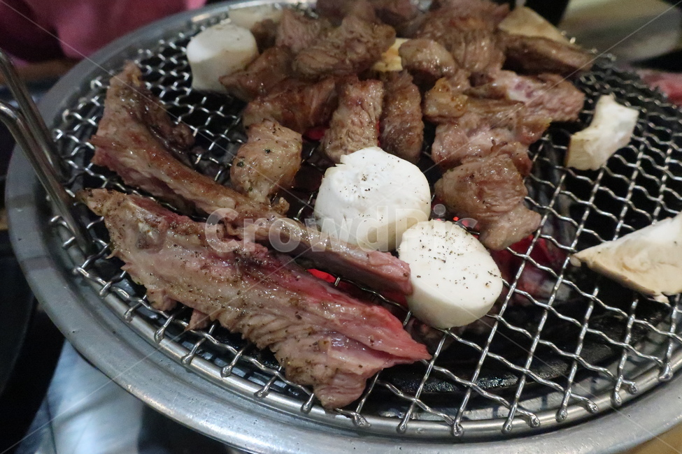 양고기,양갈비,맛집,회식,모임,파티