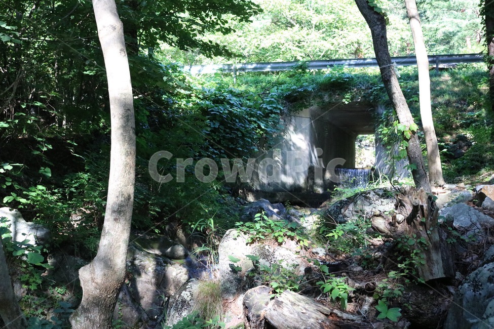 산,나무,초록,자연,하늘,구름,흰색,식물,햇빛,여름,mountain,yama,tree,ki,green,midori,nature,sky,sora,cloud,kumo,white,shiro,plants,shokubutsu,sunlight,hizashi,summer,natsu,계곡,물,valley,keikoku,water,mizu,돌,바위,stone,rock,ishi,iwa,여름,계절,summer,season,자연,풍경,nature,landscape,outdoors,옥외,building,건물,bunker,벙커