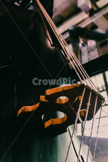 악기,첼로,스트링,검은,인테리어,악기,음향기기,musical instrument,musical equipment