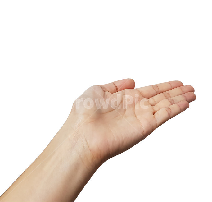 손모양,손동작,손가락,제스처,hand,handmotion,사람,인물,인간,human,person,신체일부,몸,body,손,제스처,표시,손짓,표현,gesture,hand,sign,expression,누끼,remove background