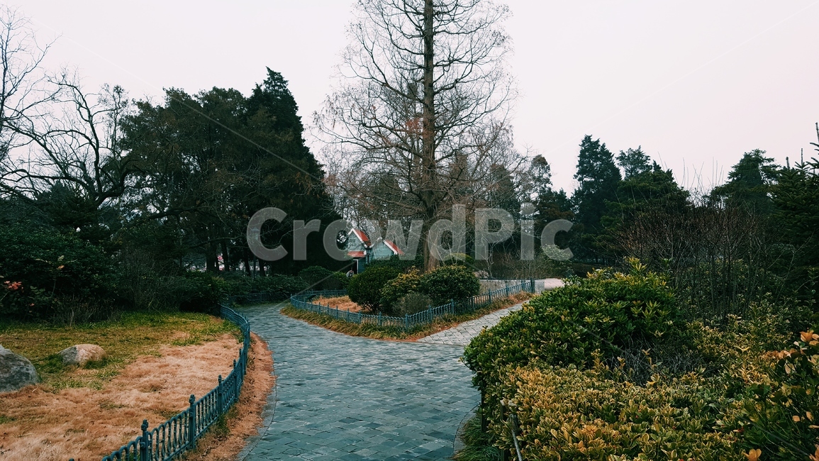 공원,겨울,갈림길,park,길,쓸쓸함,고독함,인생,life,선택,choice,자연,풍경,nature,landscape,walkway,보도,path,통로,sidewalk,pavement,포장