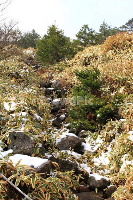 산,언덕,나무,돌,바위,자연,하늘
