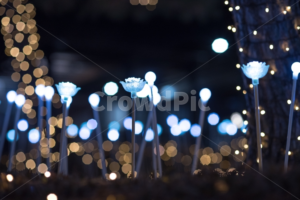 led flame,Emotional bokeh,led rose,light festival,Night view bokeh,bulb,bokeh,Rose,led lights,background photo,Emotional photo