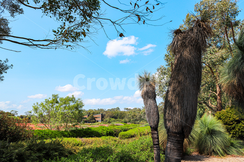 tree,나무,plant,식물,treetrunk