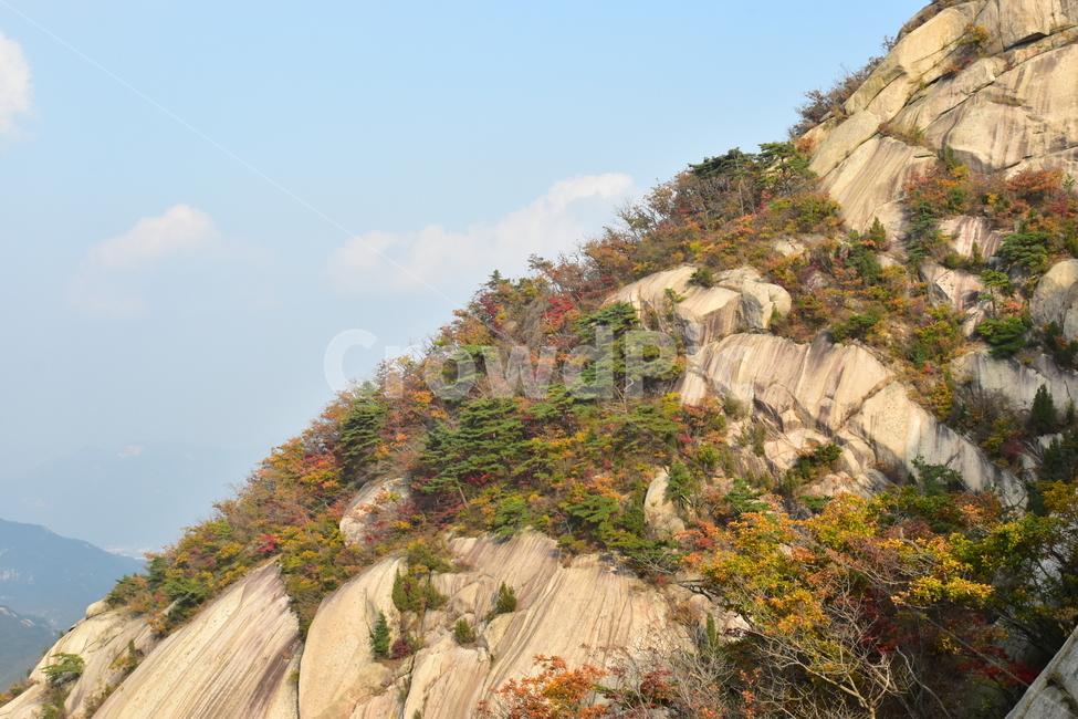 가을,단풍,자연,풍경,북한산,잎,단풍잎,붉은,나무,계절,계곡,숲,힐링,plant,fall,autumn,season,forestnature,landscape,한국자연풍경,한국자연경관,korea,tree,maple,leaf,가을,계절,fall,autumn,season,자연,풍경,nature,landscape,cliff,낭떠러지,outdoors,옥외