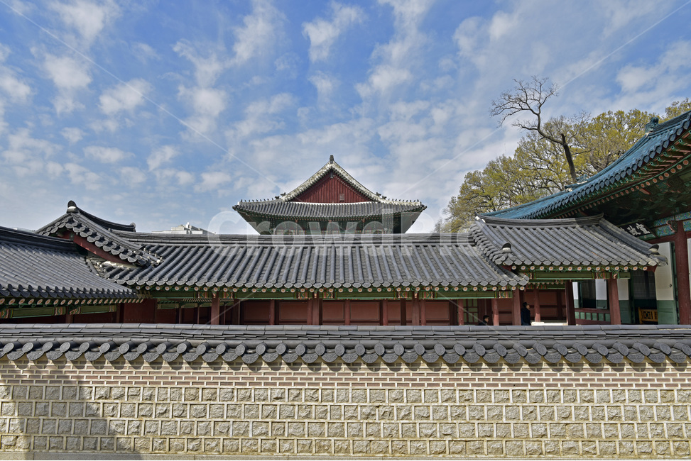 창덕궁,changdeokgungpalacecomplex,궁궐,문화유산,세계유산,한옥,이궁,동궐,단청,한국전통,한국문화,korean traditional,korean culture,랜드마크,landmark,tourist attraction,한국랜드마크,한국관광지,한국명소,korea landmark,korea tourist attraction,건축물,건물외관,exterior,building,structure,architecture,construction