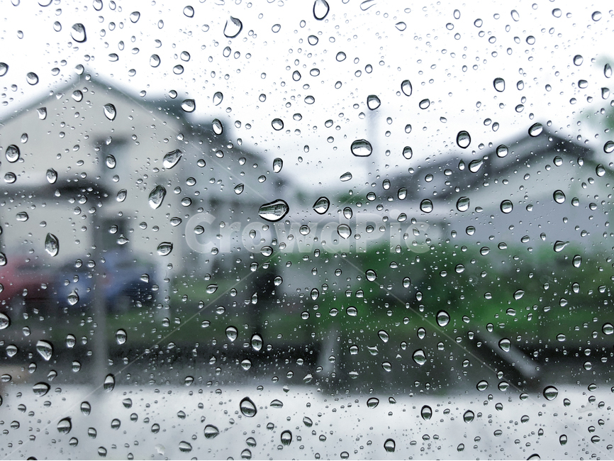 빗방울,비,가을비,비오는날,유리창,rain,아웃포커싱,창문,작은물방울,droplet,감성사진,감성,비,비오는날,rain,rainy