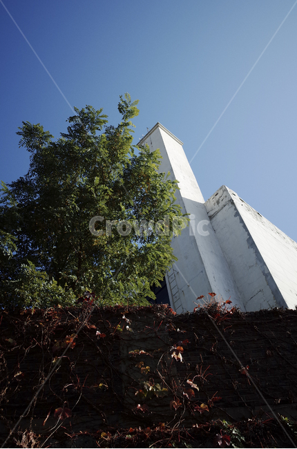 nature,자연,sky,하늘,blue,파란,푸른,파란하늘,푸른하늘,덩쿨,담장,green,tree,나무,식물,plant,leaf,잎,white,건축물,건물외관,exterior,building,structure,architecture,construction