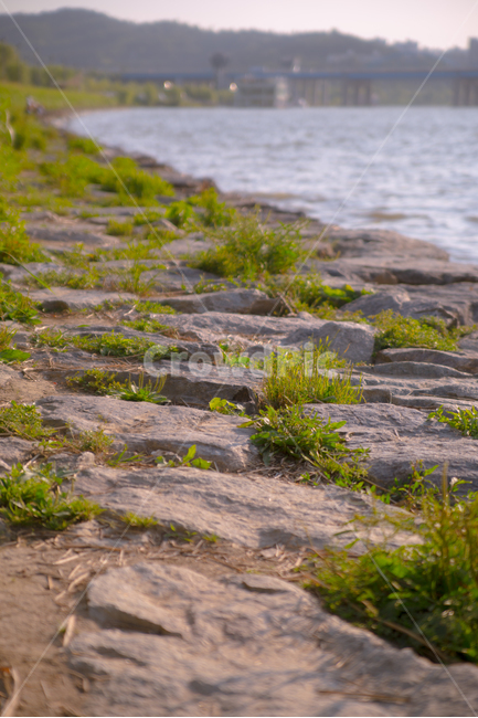 바위,한강,물,길,배경화면,감성사진,풍경사진,식물,자연,plants,nature