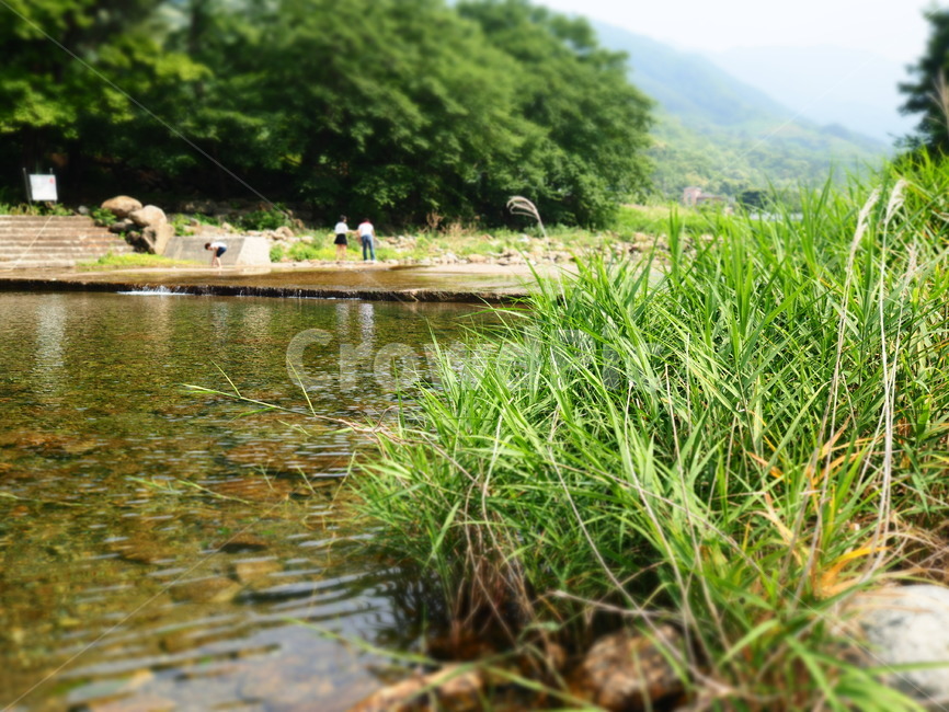 풍경,자연,계곡,물,풀,nature,water