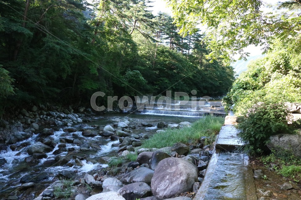 여름,휴가,계곡,물,나무,식물,초록,돌,바위,summer,natsu,vacation,kyuuka,valley,keikoku,water,mizu,tree,ki,plants,shokubutsu,green,midori,stone,ishi,rock,iwa,여름,계절,summer,season,자연,풍경,nature,landscape,outdoors,옥외,stream,흐름,creek,작은 만