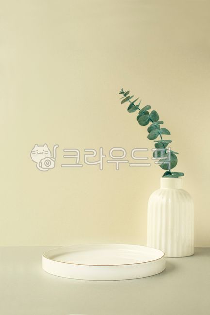 template,studio,pedestal,Fresh,award stand,horizontal composition,Central,advertising,Natural,space,empty,presentation,Leaves,interior decoration,Plant,Porcelain,award,Branch,copy space,Tree,wood,stand,exhibition,Nature,Cleanliness,Flower,business,display