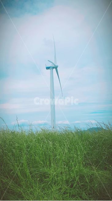 풍력발전소,여름,청보리,하늘,구름,녹색,산업,industry,industrial,에너지산업,energy industry,machine,기계,engine,엔진,motor,모터