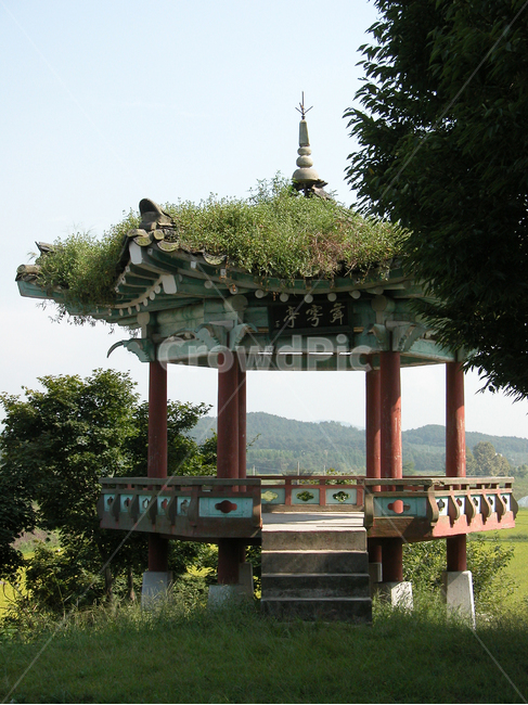 정자,시골,전통,쉼터,팔각정,한국전통,한국문화,korean traditional,korean culture