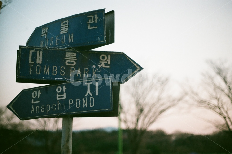 경주,표지판,안압지,대릉원,필름사진,필름,박물관