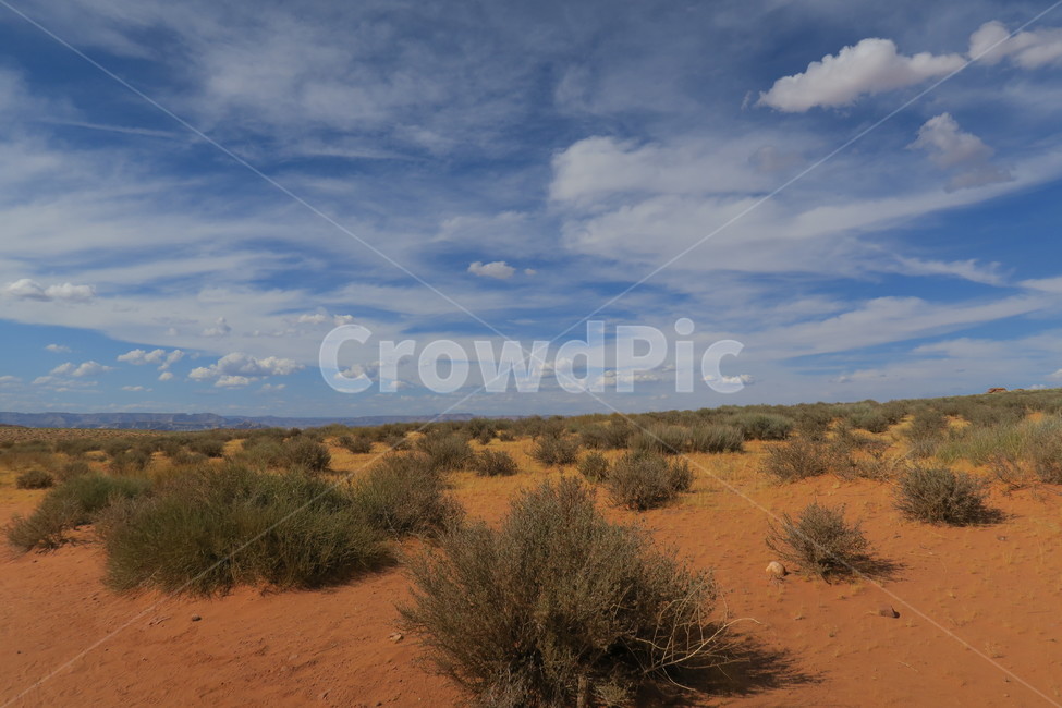 desert,흙,사막,자연,nature,미국,옥외,outdoors,자연,풍경,nature,landscape