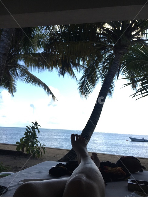휴양지,힐링,아자수,자연,휴가,여름,palmtree,야자수,plant,식물,tropical,감성,휴식,summer,야자나무,나무,tree,하늘,sky,구름,바다,해변,해외여행,사람,다리,발