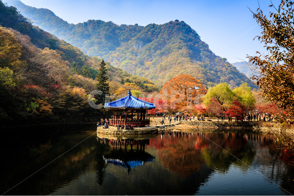 내장산,가을,낙엽,단풍,연못,정자,가을,계절,fall,autumn,season,자연,풍경,nature,landscape,한국자연풍경,한국자연경관,korea nature landscape