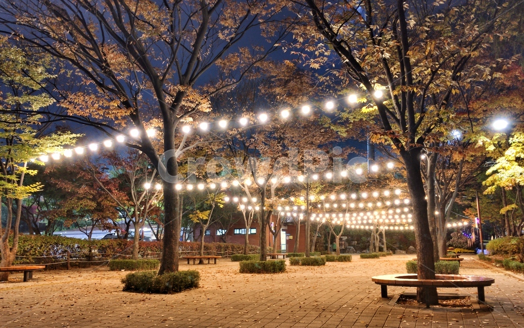 공원,전구,초가을,자연조명,풍경,autumn,가을,계절,fall,autumn,season,야경,밤,풍경,nightscape,night,landscape,감성,sensible,feeling,bench,벤치,furniture,가구