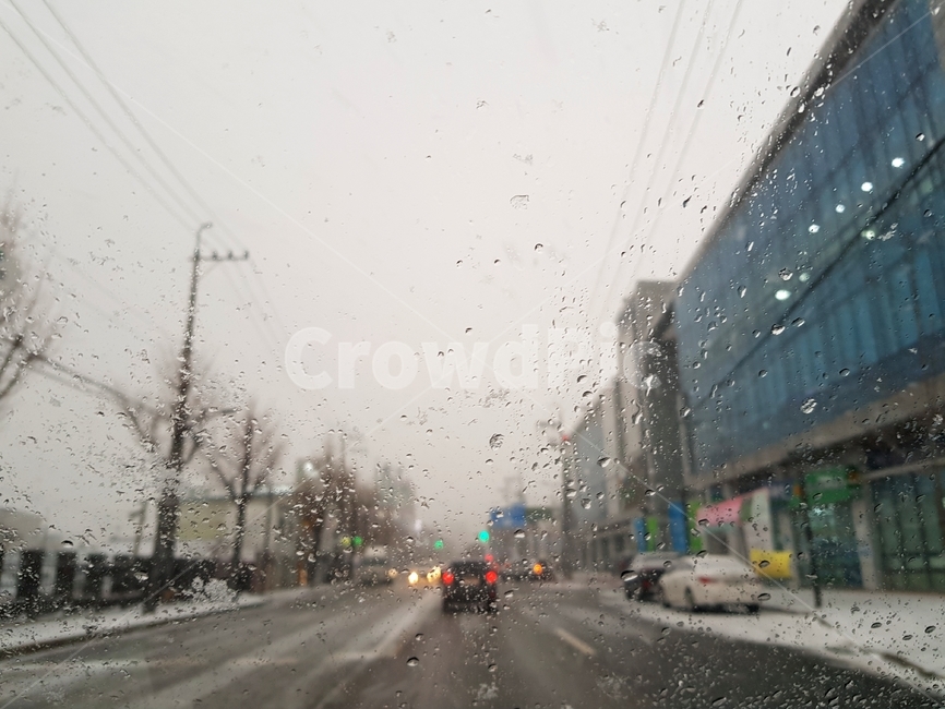 눈,폭설,겨울,도로,한겨울
