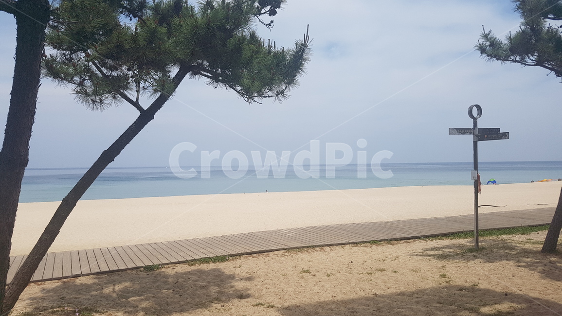 해안가,경포대,서해안,해변,바다,해수욕장,sea,beach