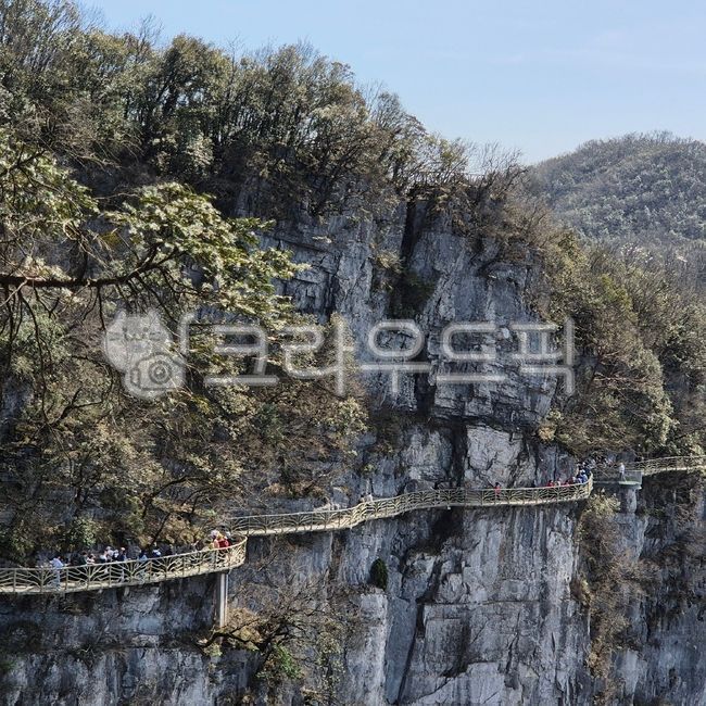 장가계,장자제,중국,유리잔도,절벽,낭떠러지,대자연,산,나무,옥외,cliff,nature,outdoors