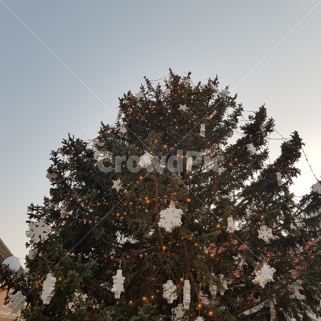 크리스마스,트리,크리스마스트리,나무,tree,christmastree,장식,겨울,눈,snow,메리크리스마스,성탄절,merry christmas
