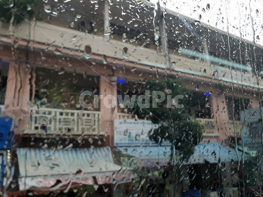 비,창문,물방울,rain,물줄기