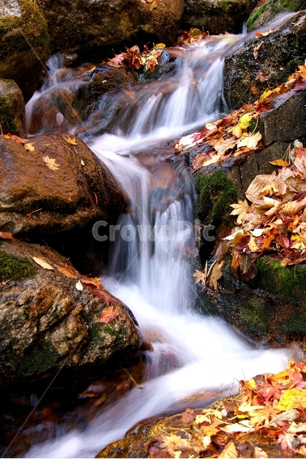 오대산,소금강,계곡,단풍,낙옆,가을,계절,fall,autumn,season,자연,풍경,nature,landscape,water,물,river,강,outdoors,옥외,waterfall,폭포
