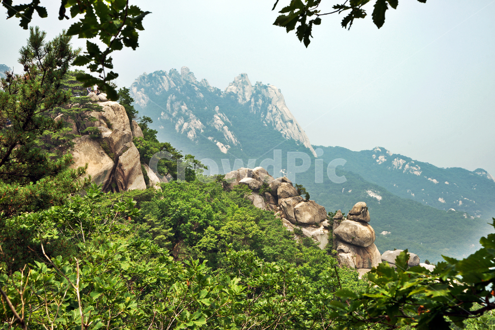도봉산,산,국립공원,선인봉,자운봉,신록,계절,자연,자연,풍경,nature,landscape