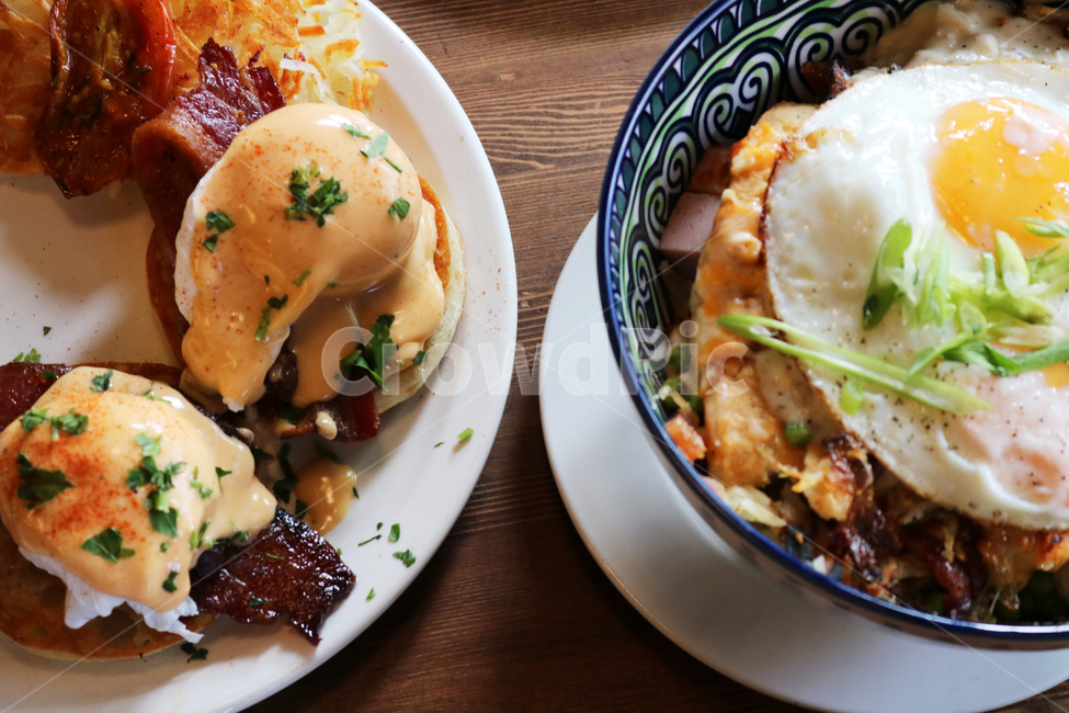 에그베네딕트,eggbenedict,brunch,브런치,hollandaise,홀렌다이즈소스,delicious,vivid,맛있는,점심,아침,식사,서양식,수란,계란요리,달걀요리,porkbelly,포크벨리에그베네딕트,음식,식재료,요리,food,cook,meal,dishes,food reserves