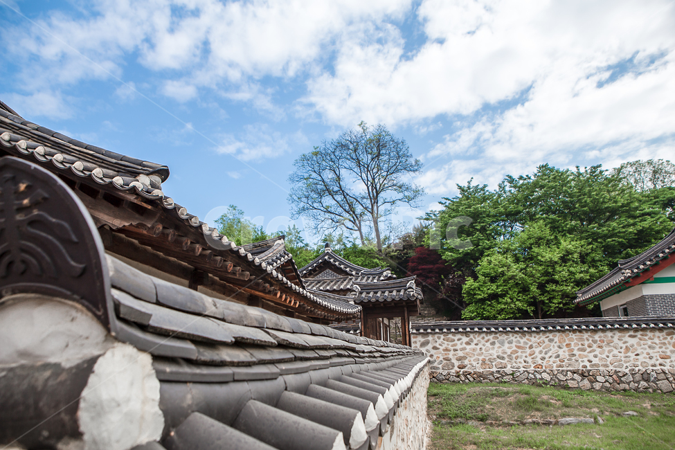 roof,지붕,tree,plant,식물,outdoors,옥외,garden,정원,arbour,정자,문화,역사,건물,건축,강화,강화도,문화재,유산,유물,나무,기와,한옥,주택,가옥,전통,전통가옥,전통양식,담장,담,담벼락,벽돌,전통집,기와집,조선시대,용흥궁,철종의집,철종,단청,고건물,고건축,배경,백그라운드,기와장,관광지,한국전통,한국문화,korean traditional,korean culture,건축물,건물외관,exterior,building,structure,architecture,construction