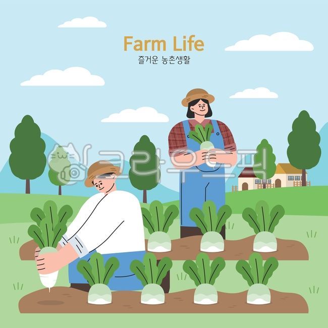 농사, 과수원, 무우농사일러스트, 농촌생활, 농촌활동, 사진,이미지,일러스트,캘리그라피 - heymin작가