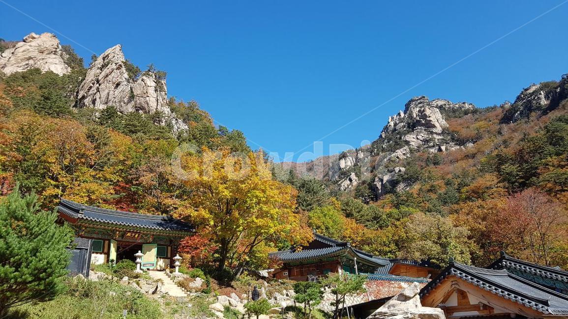 설악산,가을,단풍,오세암,하늘,기암,가을,계절,fall,autumn,season,자연,풍경,nature,landscape,한국자연풍경,한국자연경관,korea nature landscape,한국전통,한국문화,korean traditional,korean culture,종교,신앙,religion,belief,faith,outdoors,옥외,building,건물