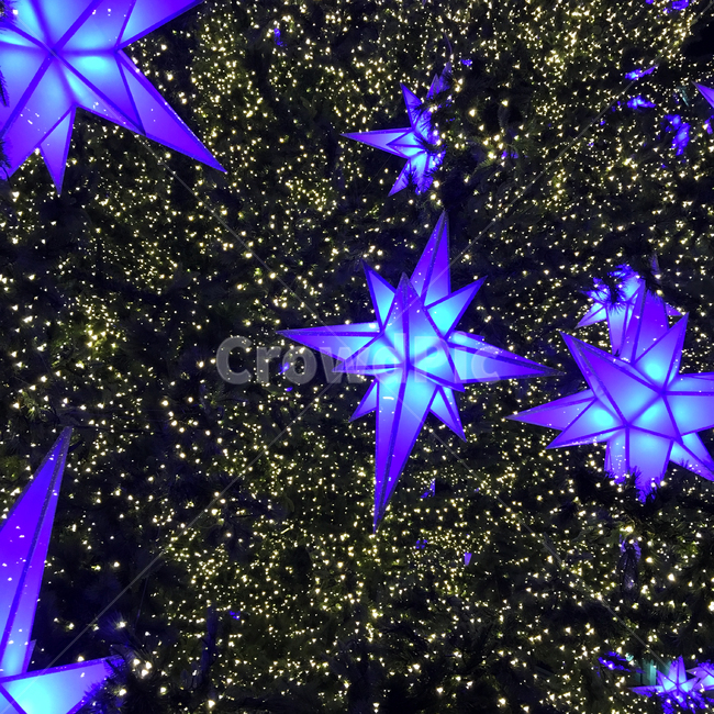 별,조명,트리,겨울,반짝이는,밤,무드,로맨틱,별빛,빛나는,감성적,크리스마스,star,tree,light,christmas,romantic,winter,decorate,sensitive,겨울,계절,winter,season,야경,밤,풍경,nightscape,night,landscape,기념일,축하,anniversary,congratulation,celebrate,celebration,메리크리스마스,성탄절,merry christmas