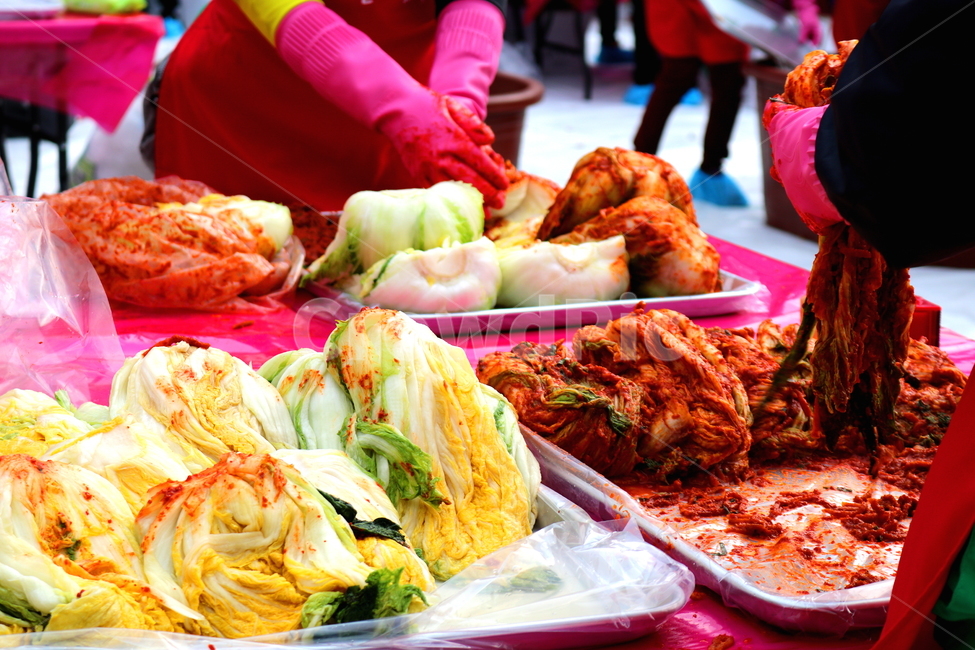 김치,김장,김장김치,배추,절임배추,배추김치,김장철,겨울,사람,인물,인간,human,person,신체일부,몸,body,음식,식재료,요리,food,cook,meal,dishes,food reserves,채소,야채,vegetables,한식,한국음식,한국요리,korean food,korean dishes,korean meal,korean cook