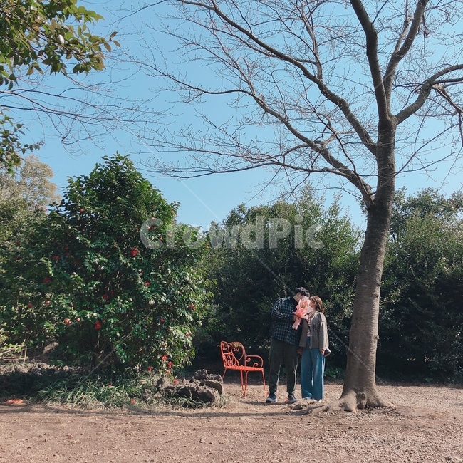 자연,커플,풍경,연인,인물,여자,남자,옆모습,나무,초록,햇살,사람,제주도,앞모습,전신,여행,힐링,하늘,키스,뽀뽀,스킨쉽,애정표현