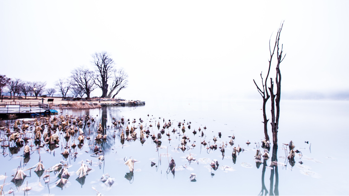 두물머리,아침,여명,호수,반영,자연,싱그러움,자연,풍경,nature,landscape,한국자연풍경,한국자연경관,korea nature landscape