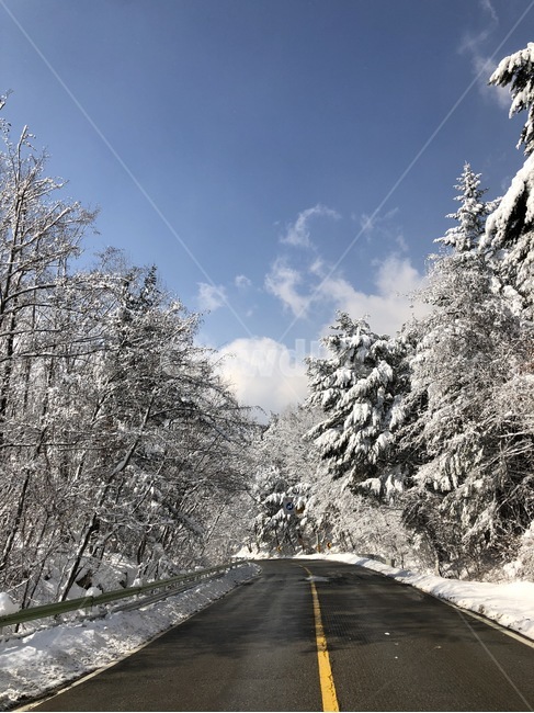 강원도,눈,바람,도로,한계령,겨울,계절,winter,season,자연,풍경,nature,landscape,한국자연풍경,한국자연경관,korea nature landscape,교통,교통수단,traffic,transportation,ice,빙,outdoors,옥외