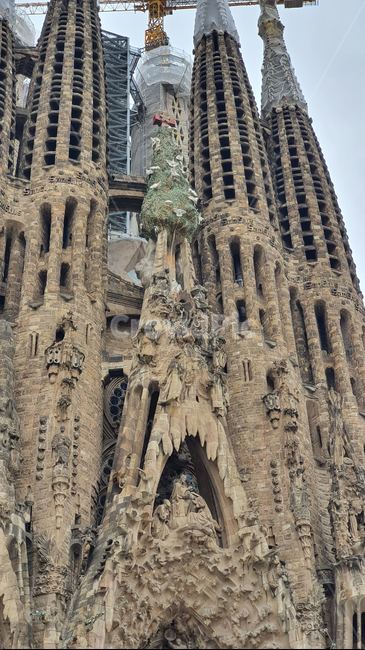 스페인,베르셀로나,사그라다,파밀리아,성당,가우디,spain,sagrada,familia,catholic,church,gaudy,barcelona
