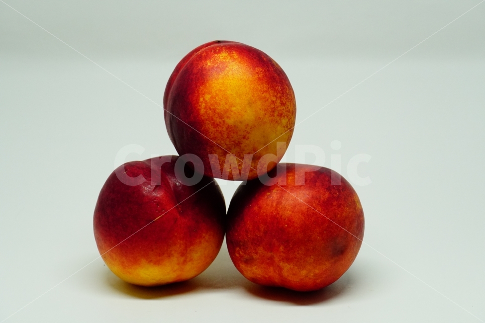 누끼,누끼사진,과일,복숭아,fruit,식물성,사물,object,음식,열매,야채,채소,디저트,cook,food,meal,간식,비타민,맛있는,맛있다,신선한,신선함,신선하다,신선,식자재,결실,싱싱한,싱싱하다,싱싱함,농산물,농작물,dessert,vegetable,과실,음식,식재료,요리,food,cook,meal,dishes,food reserves,과일,열매,fruit,연출,컨셉,콘셉,direction,concept,누끼,remove background
