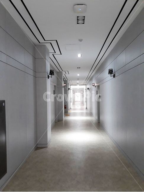 건물,화이트,흰색,조명,학교,대학교,인테리어,흰건물