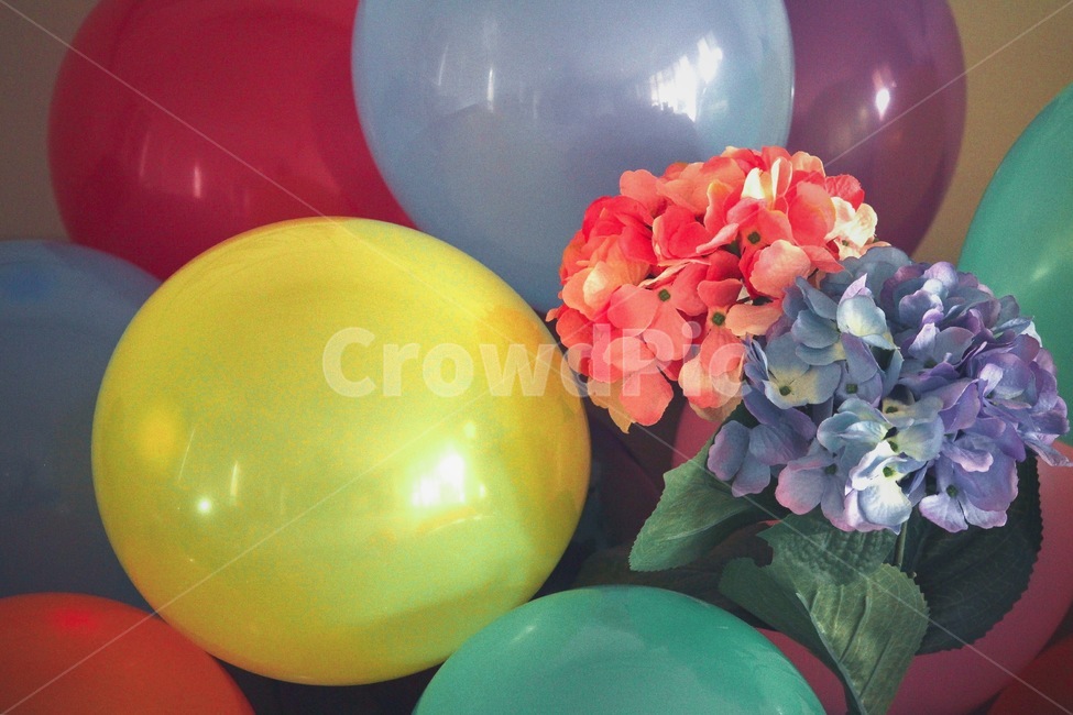 풍선,알록달록,파티,이벤트,행사,실내,감성,color,event,balloon