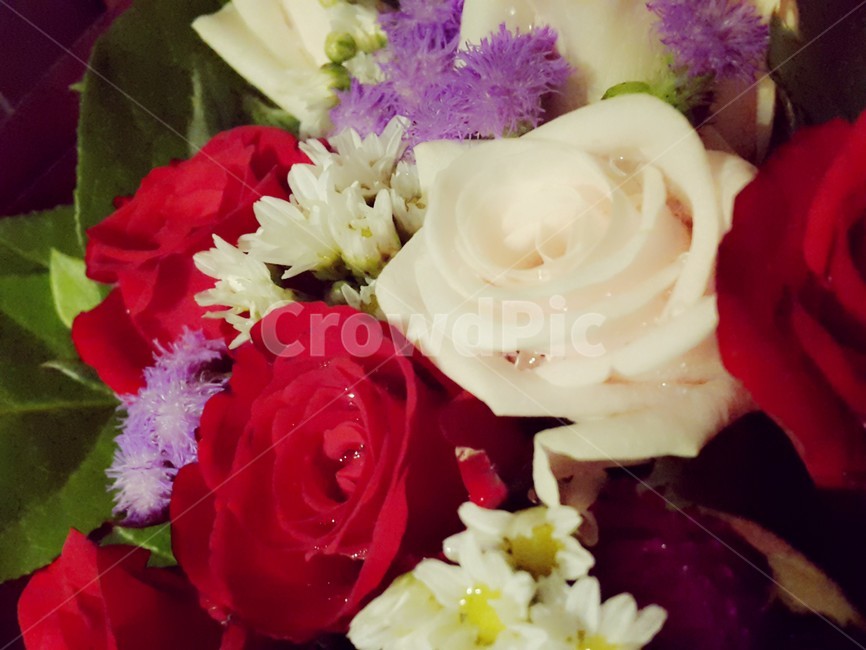 꽃,플라워,꽃다발,부케,장미,flower,bouquet,rose,이벤트,event,서프라이즈,surprise,컬러풀,colorful,생일,birthday,축하,파티,party,선물,present,따뜻한,부드러운,감성적인