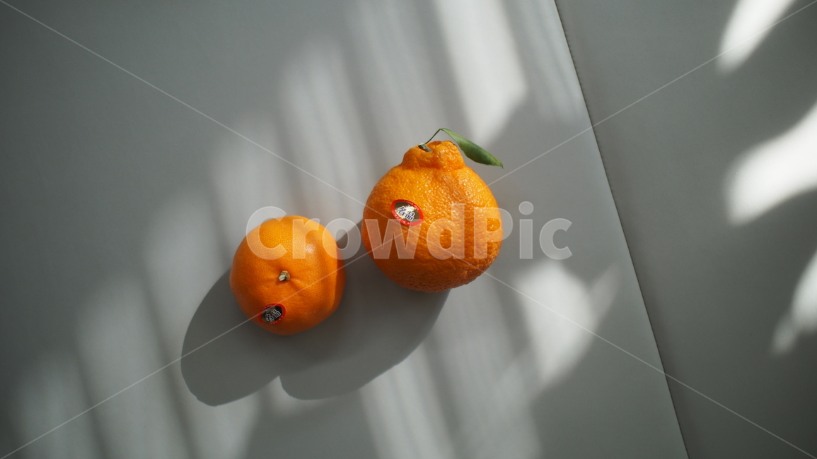 한라봉,귤,오후햇살,sunlight,tangerine